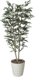 yN[|200~OFF11/16 23:59܂ŁzG} lHϗtA ̊y glR 1.8m 146C450 TCYFW65cm×H180cm×D60cm ̓