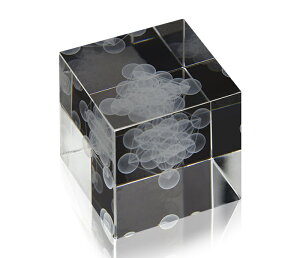 __|Cg20{^^3D^gL[u Ղ̃RCBLACK EYEubNAC̈wmێRC搶ďC dgh~ ӎ dgJbg dg΍ R si GlM[ j