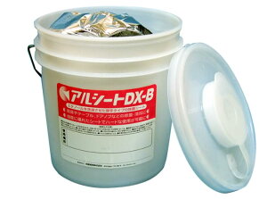 AV[gDX-B *pety^Cv̏ۃV[gEa@{݂Ŋzs