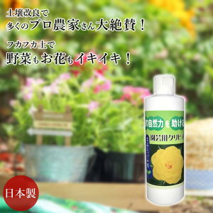 NrI | _ 300ml TCY y yÂ c y tJtJ _ [ y yf  oCI ͔ L@͔| I[KjbN _͔| Y RR GR 