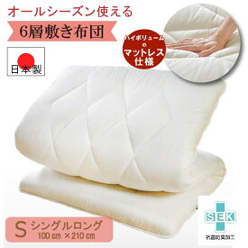 【純国産!!最高級ホテルの寝心地】 敷布団 シングル 腰痛 綿 100% コンパクト 敷き布団 厚い 極厚 日本製 「純国産 マットレス不要 両面使用 6層敷き布団「琵琶」100cm×210cm」防ダニ SEK 藤田布団 fujitafuton 夏冬兼用 オールシーズン ベッド 超極厚タイプ