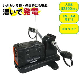 充電丸PRO ポータブル電源 ラジオ Bluetooth LEDライト AC充電 DC急速充電 自家発電 発電機 車中泊 非常用 防災グッズ キャンプ アウトドア USBポート 小型 軽量 コンパクト 家庭用 エクササイズ 送料無料 マリン商事
