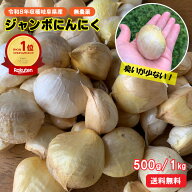 ＼楽天ランキング受賞！／ 令和8年産 にんにく 500g 1kg 産地直送 岐阜県郡上産 国産 バラ 送料無料 国産…