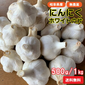 ߘa7NY ΂̔_ 򕌌SY Y zCgZ 500g 1kg  (jjN ɂɂ _ ɂɂ zCg Z 1kg ăoe Hו ăoe΍ ăoe\h X^~i nYi)