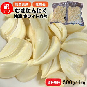 yY 򕌌SYz_ Ⓚ ɂɂ ނg 500g 1kg(500g×2) 󂠂 jjN Yn u΂̔_ 򕌌SY zCgZЎv 1000g o AV X^~i hV