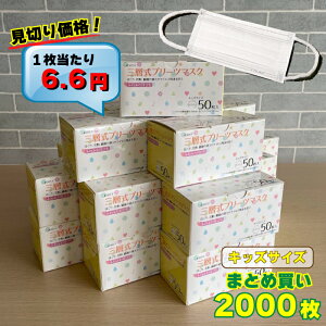 _؂艿ił!!16.6~^ Ow sDz }XN 50×40 (LbY) zCg qp ǂ WjA ECXubN PM2.5 ԕ 99 xtB^[ ĝă}XN ԕ