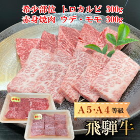 【最高級 国産 焼肉 飛騨牛】2種食べ比べ 600g(希少部位 トロカルビ 300g 赤身 ウデ・モモ 300g) お肉 焼肉 焼き肉 バーベキュー BBQ コンペ 景品 ギフト プレゼント 誕生日 お祝い 贈答 A4 A5 等級 セット 和牛 まると 地域産品