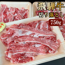 国産牛 飛騨牛 切り落とし 250g×3P 合計750g 送料無料（冷凍 切り落とし 焼肉 焼き肉 贈答 コンペ 景品 ギフト プレゼント バーベキュー BBQ 肉 セット ブランド肉 牛肉 赤身 お肉 お取り寄せ 産地直送 地域産品 お買い物マラソン まると ）