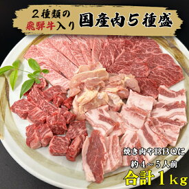焼き肉やBBQに！飛騨牛入り国産肉5種 1kg 送料無料 4〜5人前（さくらポーク サイコロステーキ 焼肉 セット 国産 ブランド肉 牛肉 豚肉 鶏肉 お肉 バーベキュー ギフト 冷凍 プレゼント 贈答 産地直送 まると 地域産品）