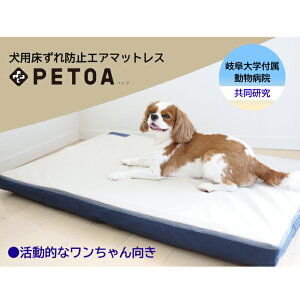 y򕌑wta@z p  h~ GA}bgX NbV PETOAiIȃj (  h~ ObY }bg }bgX ^ ^ ^ 