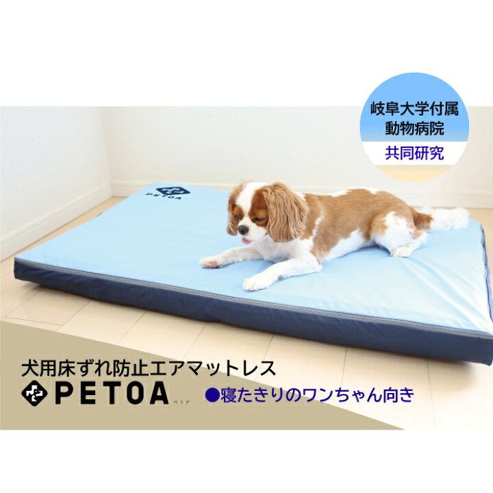 楽天市場】＼岐阜大学付属 動物病院 共同研究／ 床ずれ防止マット 犬 