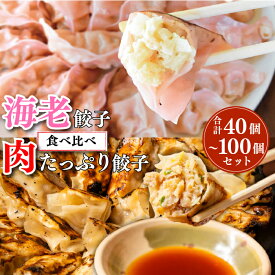 海老餃子 肉たっぷり餃子 セット 合計40個・100個 下町の空 送料無料 (激安 餃子 もちもち 餃子 プレゼント 冷凍 生餃子 ぎょうざ ギョウザ ギョーザ 焼餃子 冷凍餃子 冷凍生餃子 にんにく なし 1位 たっぷり マシマシ 中華総菜 中華点心 下町の空)