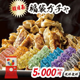 【 最大22,670円相当が当たる！】下町の空 冷凍 餃子 福袋 福箱 ガチャ 100～200個 送料無料（運試し 訳あり 食品 フードロス 肉餃子 生餃子 ぎょうざ ギョウザ ギョーザ にんにく あり なし 不使用 焼餃子 冷凍生餃子 冷凍食品 詰め合わせ 地域産品）