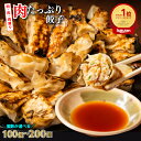 【半額！期間限定50%OFF！】大容量×高コスパ！ 国産 肉 使用 下町の空 特製 肉 たっぷり 冷凍 餃子 100個 150個 200個 セット 送料無料 (業務用餃子 お取り寄せ 一口餃子 冷凍餃子 にんにく あり なし 訳あり 人気 ぎょうざ ギョウザ 生餃子)