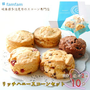 yXR[X famfamz Ⓚ XR[ Zbg510P  (  c hV̓ v[g XR[  mَq lߍ킹 Mtg  ĉَq XC[c A