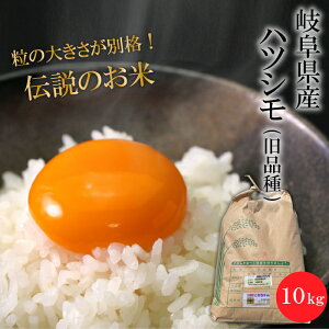 y͂Ȕ_ƂȂ̈ꓙāIz ߘa7NYi2025NYj V  򕌌Y ncV (i)  10kg Pꌴ i_ƒ   嗱  ͂ Yn Ă