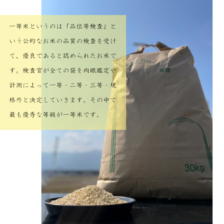 楽天市場】＼岐阜県を代表する大粒米／ 令和5年産 岐阜県産 玄米  