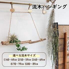 【おしゃれな インテリア雑貨！】 流木 インテリア流木ハンギング 送料無料 (流木 アート アク抜き 吊り下げ 長い 特大 一点物 インテリア 壁掛け 雑貨 枝 壁飾り インテリア 雑貨 オブジェ おしゃれ 地域産品 流木スタイル お買い物マラソン)