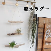 楽天市場】流木 壁掛けの通販