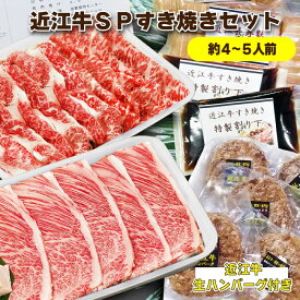 【日本三大牛肉 近江牛食べ比べ】近江牛 スペシャルすき焼きセット 800g入り (4〜5人前) A5等級クラシタ ブリスケ 生ハンバーグ 送料無料（和牛 牛肉 ブランド牛 ギフト プレゼント 贈答 お取り寄せ 鉄板ダイニング天満 地域産品）