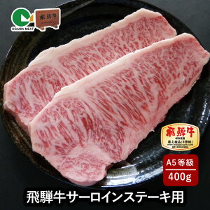 _ō T[CXe[L!!^ ˋ A5 T[CXe[Lp 400g(200g×2) ( ˋ Xe[L ̓ v[g Mtg  Xe[L Mtg Y Xe[L Ԑg X