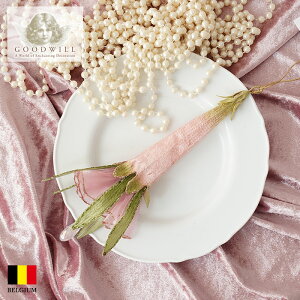 BR 37123[150085-2]xM[ GOODWILL(ObhEB) I܂ƂcNT sNm2nsN 24cm [bp k NX}Xc[ I[ig NX}XI[ig sJLEz[ 