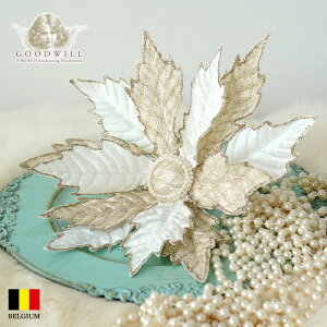 J 61454[150093]xM[ GOODWILL (ObhEB) p[|CZ`ANbv zCg×S[h 20cm [bp k NX}Xc[ I[ig NX}XI[ig sJLEz[ 