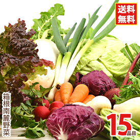 【クール便】 箱根南麓の伊豆の野菜セット 15品目 国産減農薬 機能性野菜 イタリア野菜 食育 ビーガン ヴィーガン ブッダボウル 静岡 函南 野菜セット 種類 旬 ベジタリアン マクロビ スーパーフード 箱根 南麓 伊豆 詰め合わせ 新顔野菜 メディカル 珍しい野菜