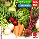 箱根南麓の伊豆の野菜お試しセット 9品目 国産 無農薬 減農薬 機能性野菜 イタリア野菜 食育 ビーガン ヴィーガン ブッダボウル 送料無料 静岡 野菜セット ...