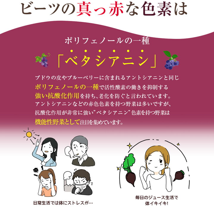 楽天市場 同梱専用 お試し ビーツ 1個 国産 国内産 クール便 ビート Beet 機能性野菜 ビーガン ヴィーガン Vegan にんじんジュース 人参ジュース ベジタリアン スーパーフード スーパーベジタブル 食育 ダイエット サラダ スープ ボルシチ 野菜ジュース コールド