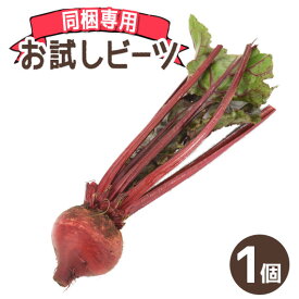 楽天市場 ビーツ 野菜 きのこ 食品 の通販