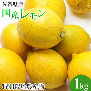 訳あり 佐賀県産 特別栽培 レモン 1kg 国産 マイヤー　クエン酸 ビタミンC 柑橘 人参ジュース