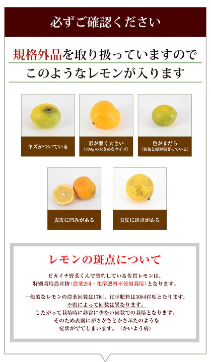 楽天市場】【訳あり】 国産 レモン 500g 特別栽培 佐賀県産 500グラム 