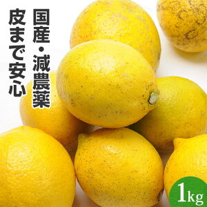 無農薬 レモンの人気商品 通販 価格比較 価格 Com