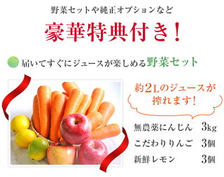 届いてすぐにジュースが楽しめる野菜セット