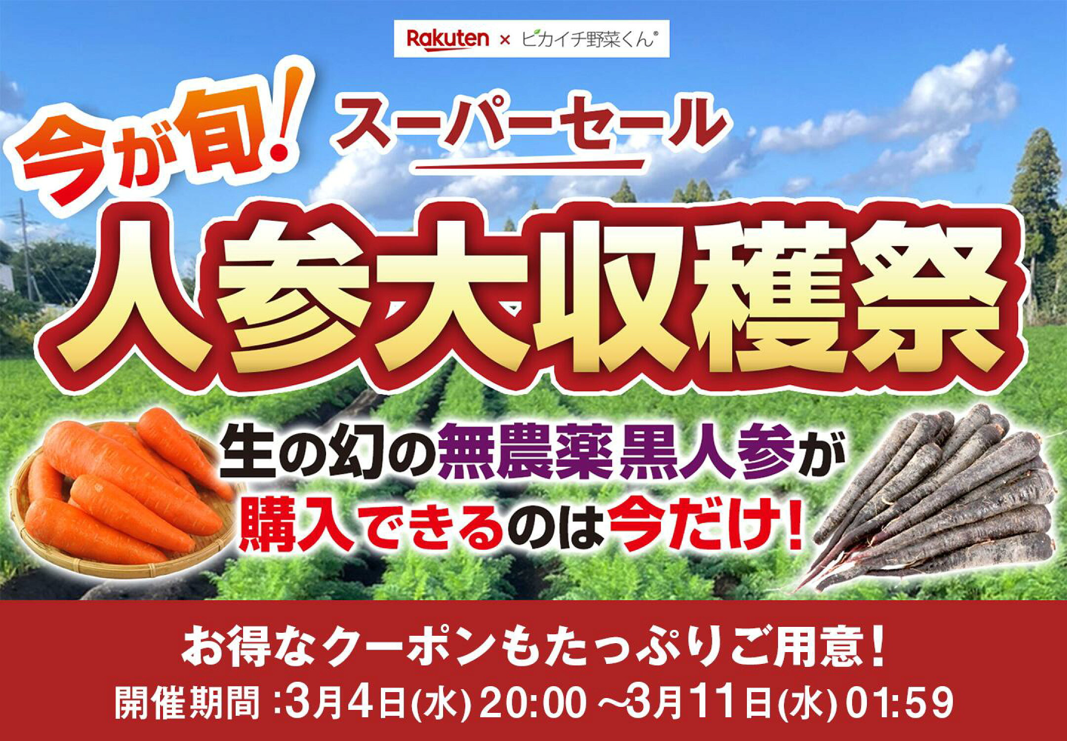 スーパーセール人参大収穫祭