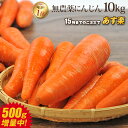 【あす楽】国産 無農薬にんじん ジュース用 10kg 送料無料 訳あり 常温便 無農薬 酵素 生酵素 ゲルソン療法 あす楽