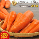 【訳あり】国産 無農薬にんじん ジュース用 5kg 送料無料 常温便 無農薬 酵素 生酵素 ゲルソン療法 あす楽