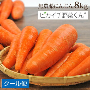 にんじんの人気商品 通販 価格比較 価格 Com にんじんの人気商品 通販 価格比較 価格 Com