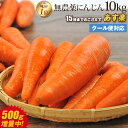 【あす楽】国産 無農薬にんじん ジュース用 10kg 送料無料 訳あり クール便 無農薬 野菜 酵素 生酵素 ゲルソン療法 あす楽