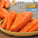 【訳あり】国産 無農薬にんじん ジュース用 5kg 送料無料 クール便 無農薬 野菜 酵素 生酵素 ゲルソン療法 あす楽