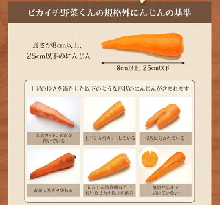 楽天市場 クール便価格 訳あり 国産 無農薬にんじん ジュース用 9kg 送料無料 クール便 無農薬 酵素 生酵素 ゲルソン療法 あす楽 ピカイチ野菜くん
