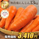 【訳あり】国産 無農薬にんじん ジュース用 13kg 送料無料 常温便 無農薬 酵素 生酵素 ゲルソン療法 あす楽