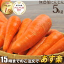 【訳あり】国産 無農薬にんじん ジュース用 5kg 送料無料 常温便 無農薬 酵素 生酵素 ゲルソン療法 あす楽