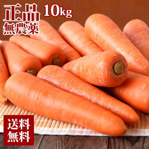 にんじん 10kgの人気商品 通販 価格比較 価格 Com にんじん 10kgの人気商品 通販 価格比較 価格 Com