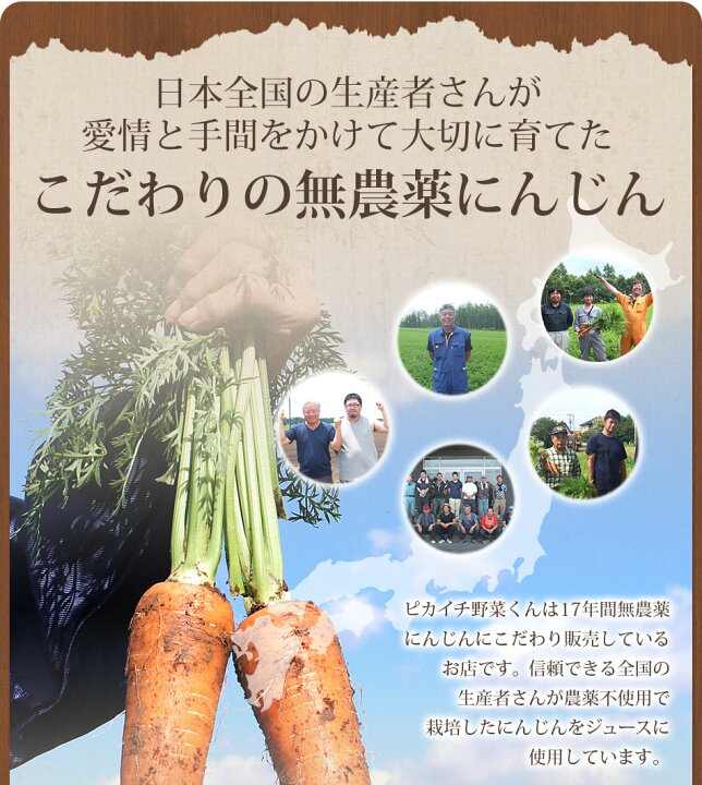 楽天市場 無添加 食べる 人参ジュース 繊維入りにんじんりんごレモンジュース 0ml 10本 あす楽 送料無料 国産 野菜ジュース にんじんジュース ニンジンジュース ストレートジュース 無農薬人参 にんじん 人参 無農薬 スムージー ファスティング 一粒万倍 ピカイチ
