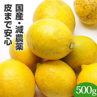 訳あり 佐賀県産 レモン 500g ピカイチ野菜くん 特別栽培 国産 れもん 檸檬 不揃い 規格外品 B品 ジュー…