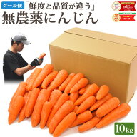 【クール便送料込み！今だけ特価】 無農薬 人参 にんじん 10kg 訳あり 10キロ 送料無料 無農薬人参 無農…