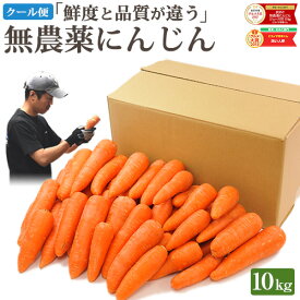 【クール便送料込み！今だけ特価】 無農薬 人参 にんじん 10kg 訳あり 10キロ 送料無料 あすらく 無農薬人参 無農薬にんじん 無化学肥料栽培 洗い ニンジン 有機人参 有機 国産 規格外品 B品 ジュース用 不揃い 人参ジュース にんじんジュース ニンジンジュース 野菜