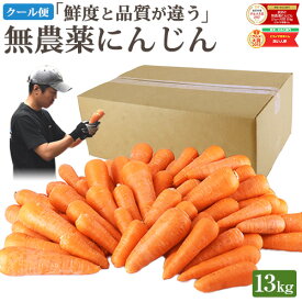 クール便 無農薬 人参 にんじん 13kg 13キロ 送料無料 訳あり あすらく 無農薬人参 無農薬にんじん 無化学肥料栽培 洗い ニンジン 有機人参 有機 業務用 大容量 国産 規格外品 ジュース用 人参ジュース にんじんジュース ニンジンジュース 野菜